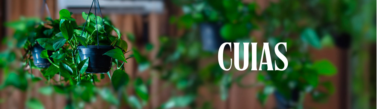 Slide background